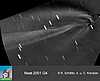 Bild 143 kB: Komet Neat (C2001 Q4)