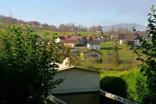 katzen-ansitz_0 grosses Bild in Orginalauflösung