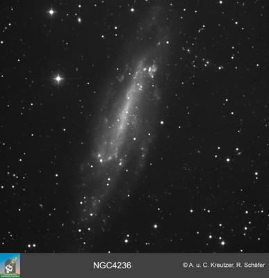 ngc4236 grosses Bild in Orginalauflösung